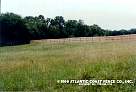 stockade-27.jpg
